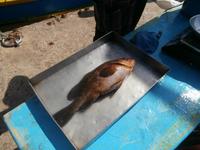 Ausflug nach Marsaxlokk