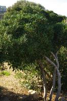 Ausflug Gozo