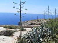 Blaue Grotte Malta