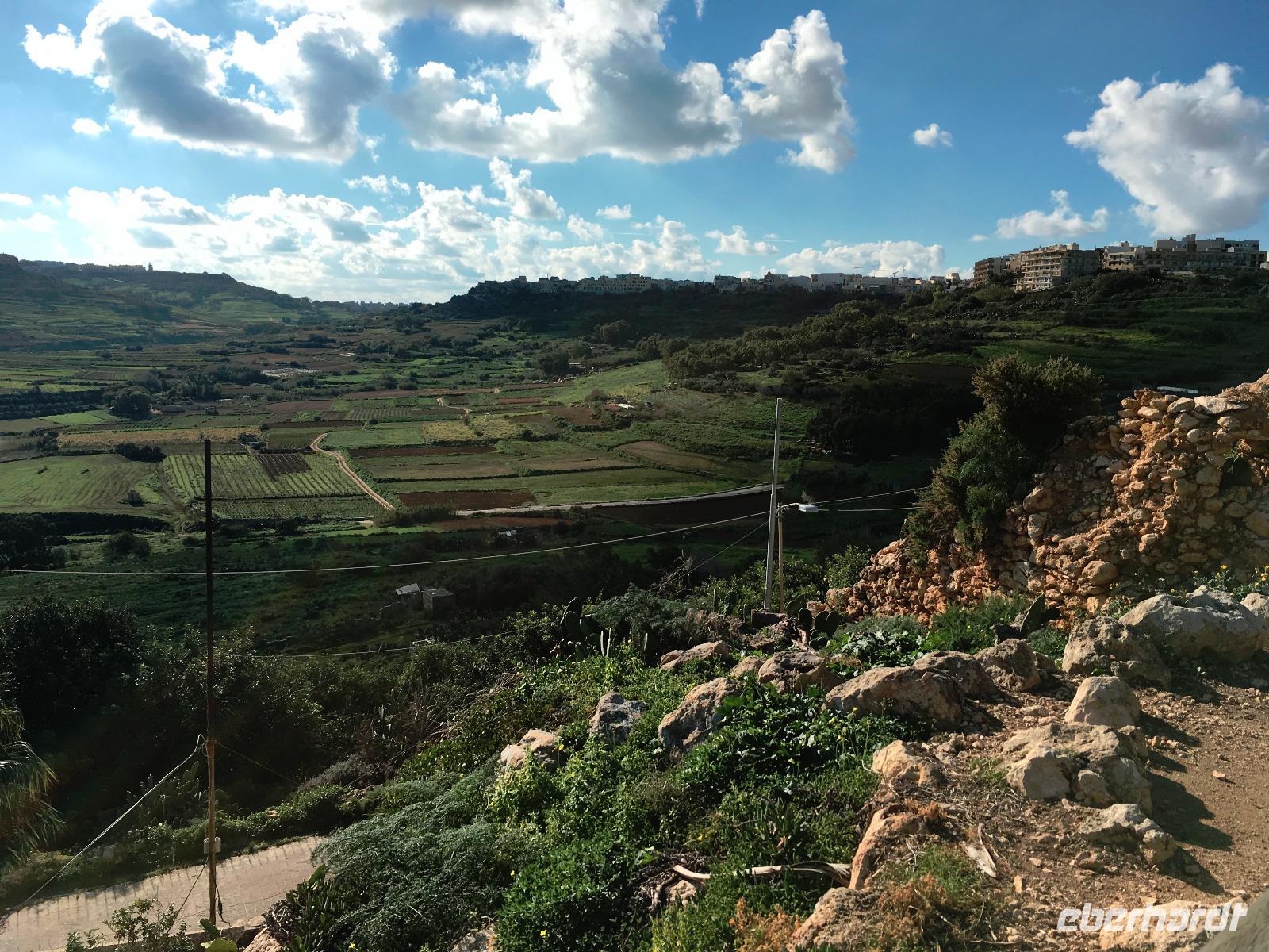 Gozo