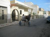 IMG_2562 in Munxar