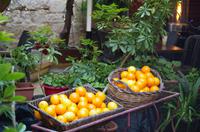 Mdina
