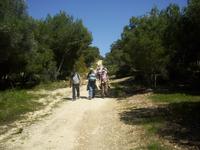 Wandern im Wald