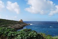 Xlendi - Gozo
