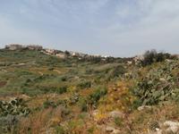 unterwegs auf Gozo