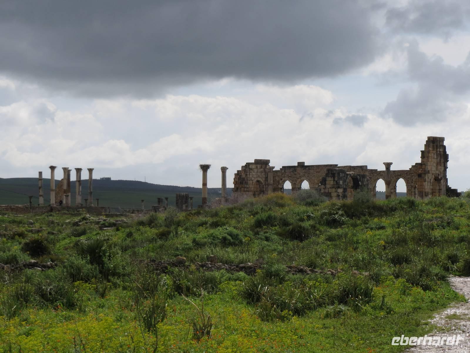 049_Volubilis