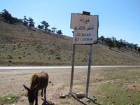 089_Col du Zad-Pass  