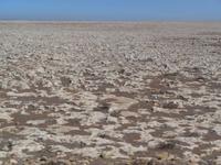 Karstwüste südlich von Casablanca