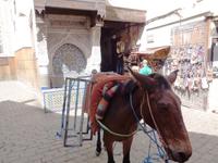 Am Tischlermarkt in Fes