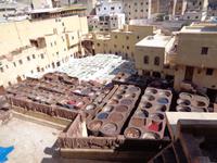 Das Gerberviertel von Fes