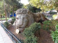 Der Löwe von Ifrane