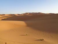 Sand, soweit das Auge reicht