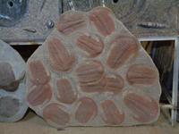 Trilobithen in Erfoud