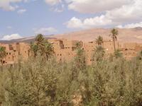 Kasbah in der Todraoase