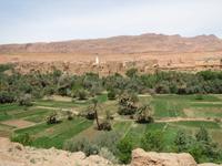 150_Oase