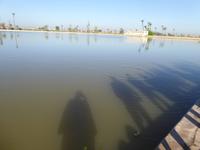 Menara Garten - Marrakesch