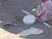 Gauklermarkt - Marrakesch