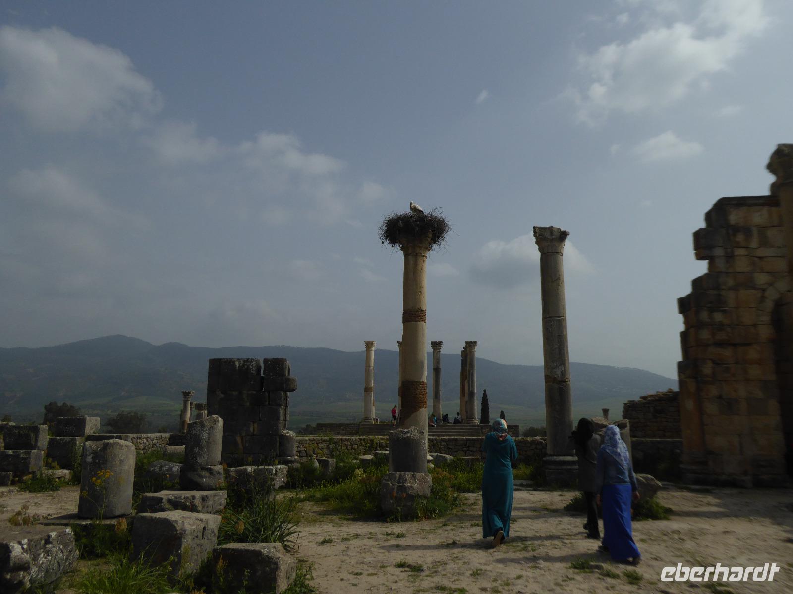 Voloubilis - Kapitolstempel