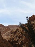 159_Todra-Tal
