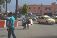 EindruckAmNachmittag