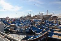 Essaouira Hafen4