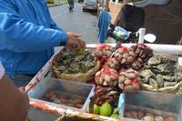 Frische Austern gefällig?