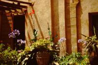 Kasbah Oudaya Blumenpracht