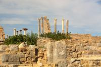 Volubilis2