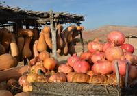 Stilleben mit Granatapfel