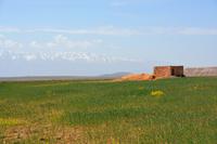 Im Hintergrund der Atlas