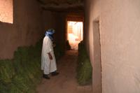 alte Kashbah von Tinghir