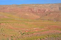 Bienenkörbe in der Ferne