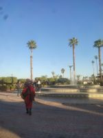 Gaukler in Marrakesch