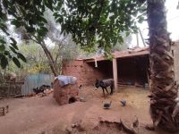 Berberfamilie Ourikatal 3