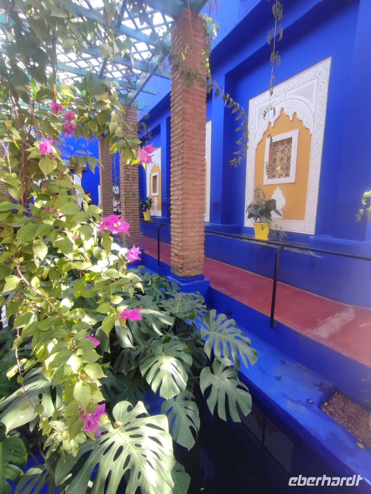 Majorelle Garten (3)