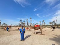 Palmeraie Marrakesch