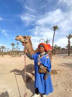 Palmeraie Marrakesch Berber Kamel