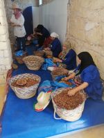 Alischa erklärt uns die Arbeitsgänge der Ölherstellung - Marokkanisches Gold