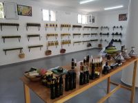 Verkaufsraum der Arganienkooperative