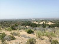 Blick auf die Stadt Essaouira