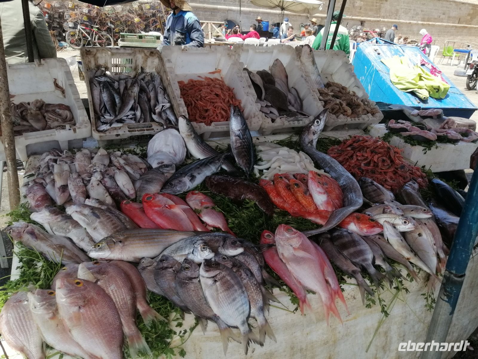 Fischangebot, Hafen von Essaouira