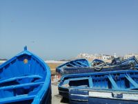 Blick auf die Medina von Essaouira