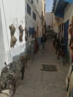 Rundgang durch die Medina von Essaouira