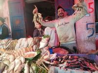 Fischhändler, Markt der Medina in Essaouira