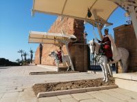 Wachposten, Mausoleum der Könige in Rabat