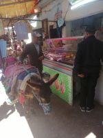 Esel ist unverzichtbat, Medina von Moulay Idriss