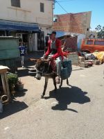 Transportmittel Nummer 1, Madina von Moulay Idriss