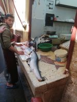 Fischhändler, Medina von Fes