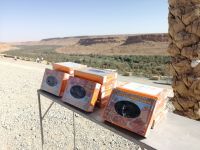 Dattelnstand am Straßenrand