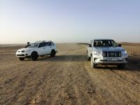 Fahrt mit Landrovern durch die Steinwüste nach Erg Chebbi
